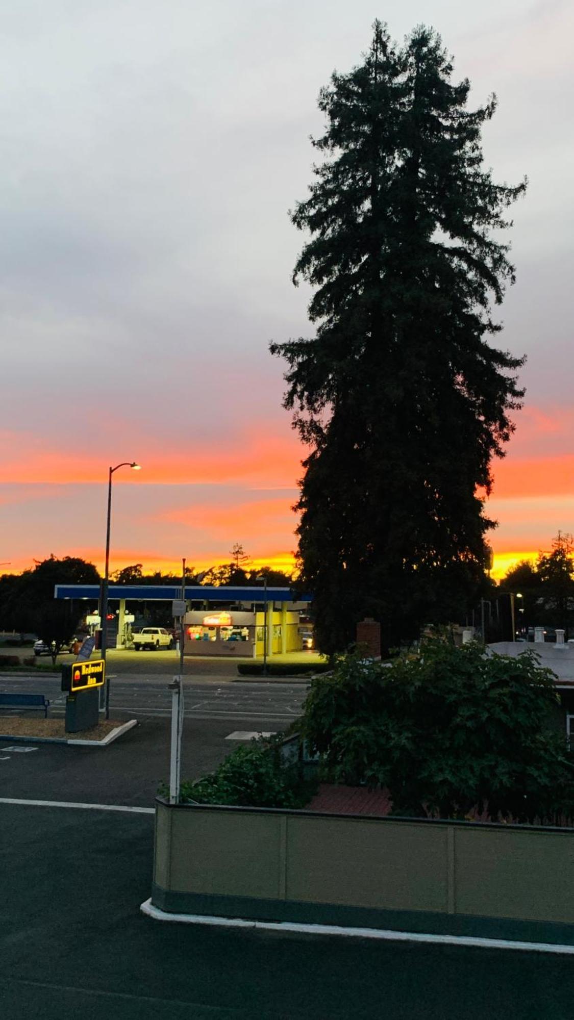 Redwood Inn Santa Rosa Dış mekan fotoğraf
